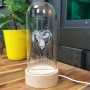 LOVE VERTICAL photo lamp on wooden LED base with glass bell